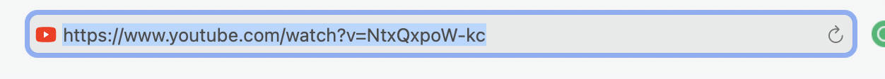 An unshrunk URL in Safari's Smart Search field.