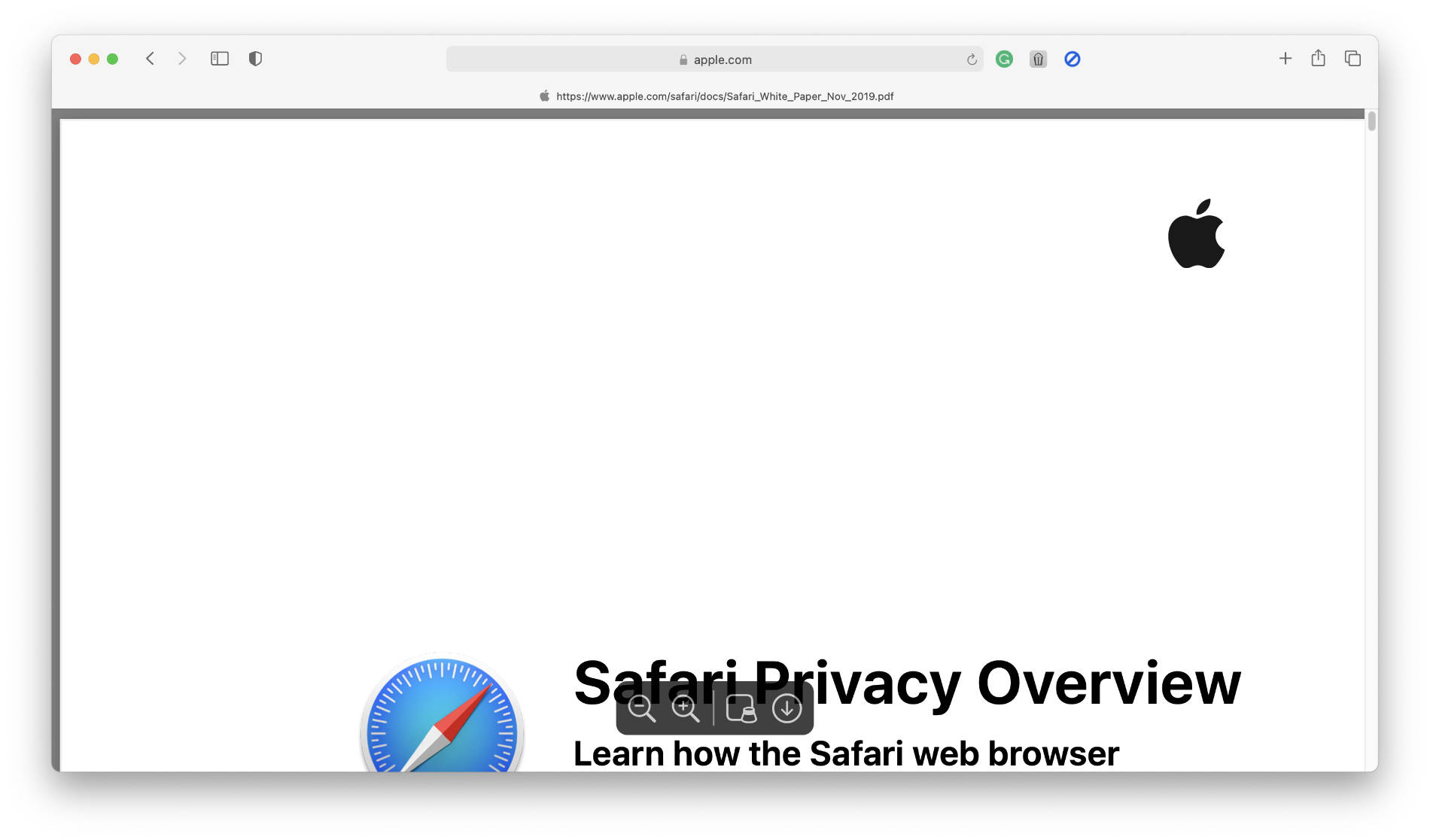 Safari's PDF viewer.