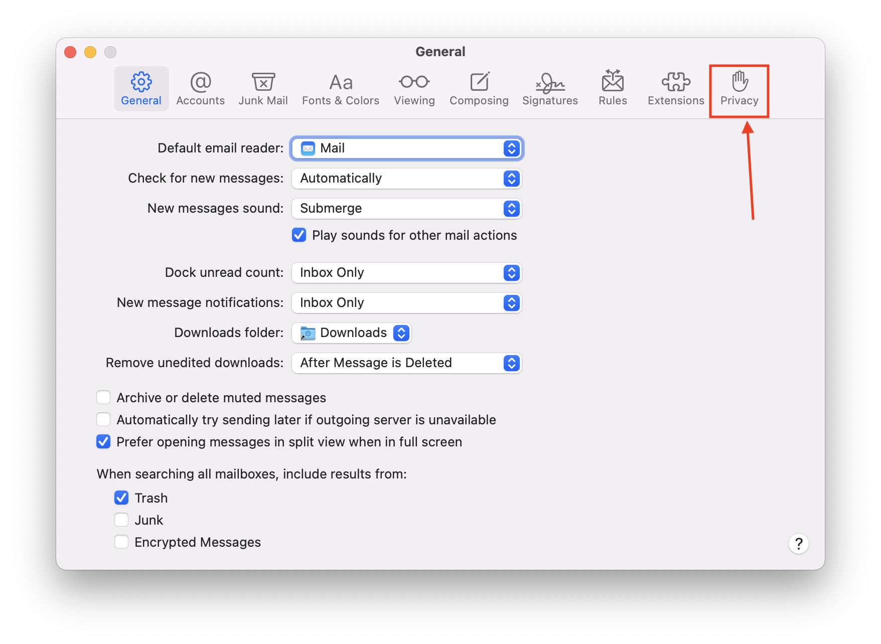 Mail Privacy Tab in Mail settings in macOS Monterey